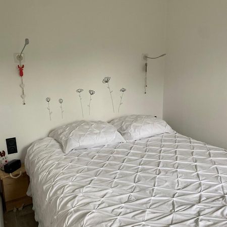 Mont Blanc Holidays Dans Residence Avec Gardien 萨莱切 外观 照片