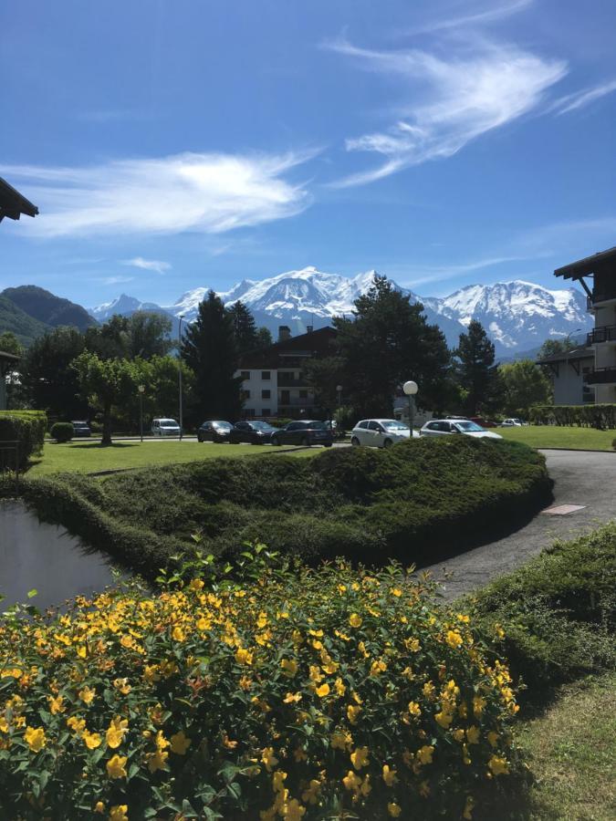 Mont Blanc Holidays Dans Residence Avec Gardien 萨莱切 外观 照片