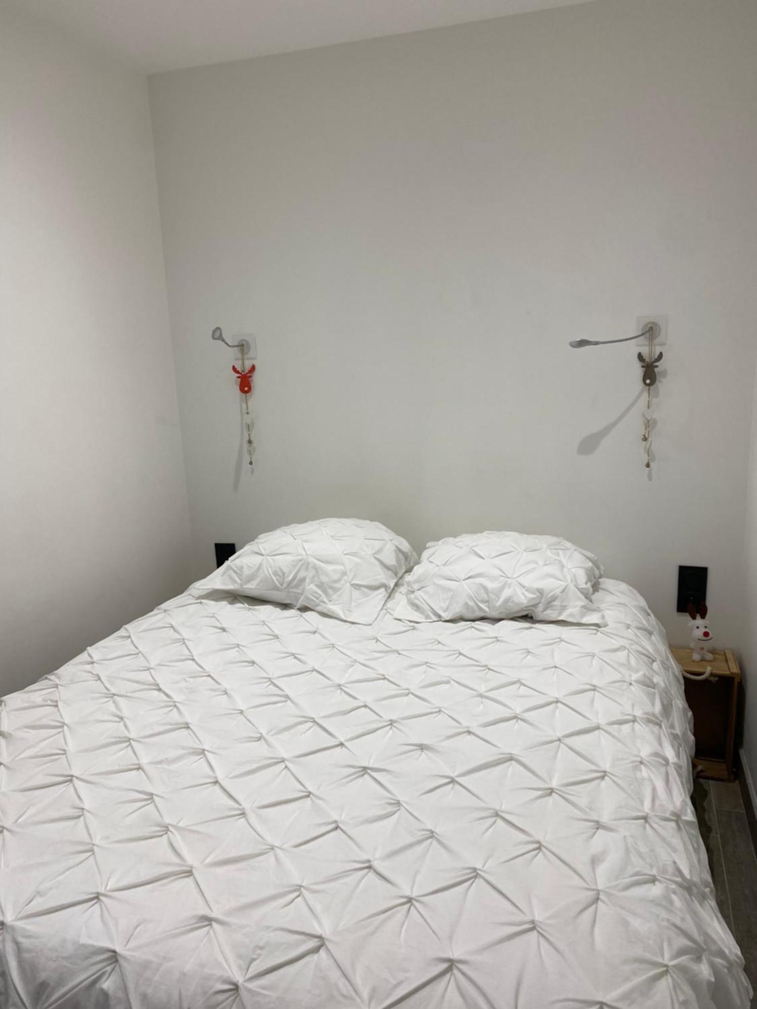 Mont Blanc Holidays Dans Residence Avec Gardien 萨莱切 外观 照片